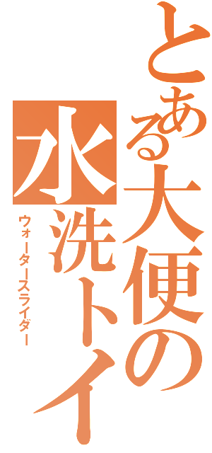 とある大便の水洗トイレ（ウォータースライダー）