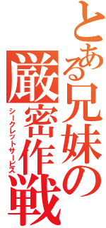 とある兄妹の厳密作戦（シークレットサービス）