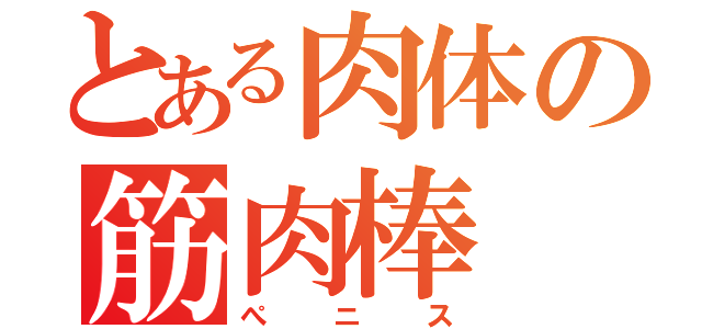 とある肉体の筋肉棒（ぺニス）