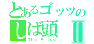 とあるゴッツのしば頭Ⅱ（Ｔｈｅ Ｆｉｌｅｄ）