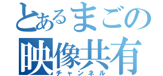 とあるまごの映像共有（チャンネル）