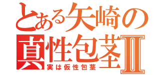 とある矢崎の真性包茎Ⅱ（実は仮性包茎）