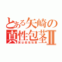 とある矢崎の真性包茎Ⅱ（実は仮性包茎）