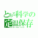 とある科学の定温保存（サーマル・ハンド）