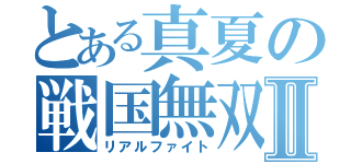 とある真夏の戦国無双Ⅱ（リアルファイト）