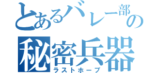 とあるバレー部の秘密兵器（ラストホープ）