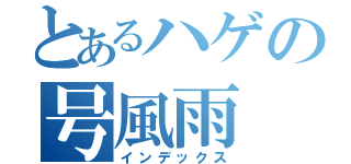 とあるハゲの号風雨（インデックス）