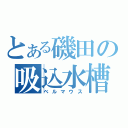 とある磯田の吸込水槽（ベルマウス）