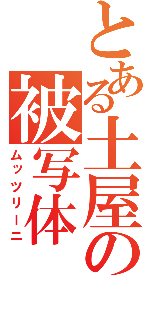 とある土屋の被写体（ムッツリーニ）