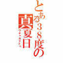 とある３８度の真夏日（ワチャカナドゥ）