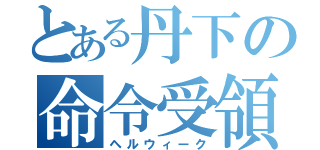 とある丹下の命令受領（ヘルウィーク）