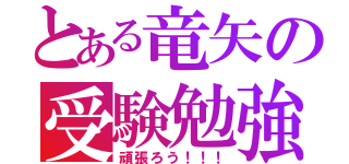 とある竜矢の受験勉強（頑張ろう！！！）