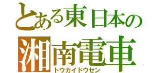 とある東日本の湘南電車（トウカイドウセン）