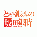 とある銀魂の坂田銀時（万事屋銀ちゃん）