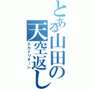 とある山田の天空返し（スカイリターン）