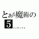 とある魔術の５（インデックス）