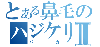 とある鼻毛のハジケリストⅡ（バカ）