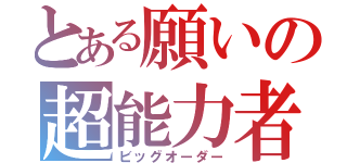 とある願いの超能力者（ビッグオーダー）