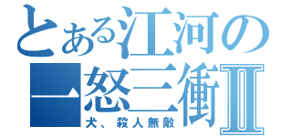 とある江河の一怒三衝Ⅱ（犬、殺人無敵）