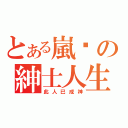 とある嵐喵の紳士人生（此人已成神）