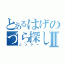 とあるはげのづら探しⅡ（カツラー）