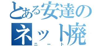 とある安達のネット廃人（ニート）