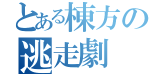 とある棟方の逃走劇（）