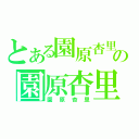 とある園原杏里の園原杏里（園原杏里）