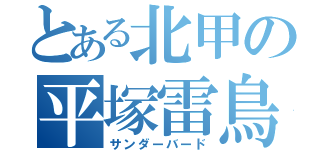 とある北甲の平塚雷鳥（サンダーバード）