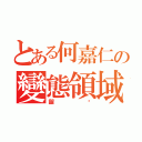 とある何嘉仁の變態領域（齷齰）