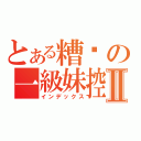 とある糟糕の一級妹控Ⅱ（インデックス）