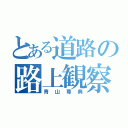 とある道路の路上観察（青山尊典）