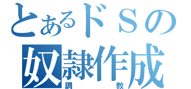 とあるドＳの奴隷作成（調教）