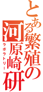 とある繁殖の河原崎研（ラボラトリー）