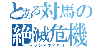 とある対馬の絶滅危機（ツシマヤマネコ）