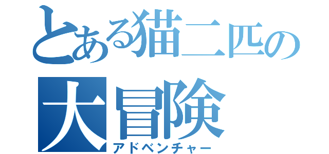 とある猫二匹の大冒険（アドベンチャー）