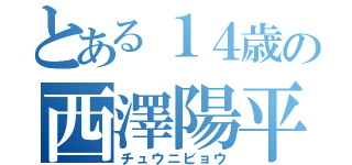 とある１４歳の西澤陽平（チュウニビョウ）