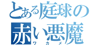 とある庭球の赤い悪魔（ワカメ）