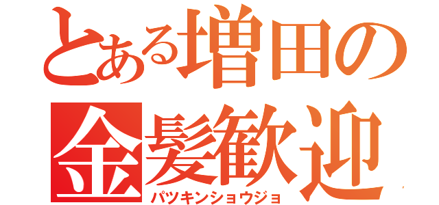 とある増田の金髪歓迎（パツキンショウジョ）