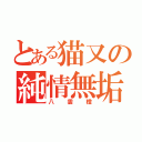 とある猫又の純情無垢（八雲橙）