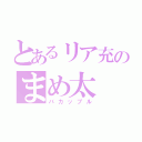 とあるリア充のまめ太（バカップル）