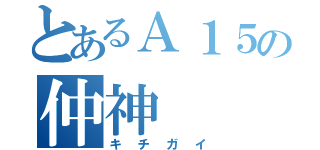 とあるＡ１５の仲神（キチガイ）