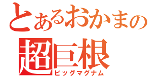 とあるおかまの超巨根（ビッグマグナム）