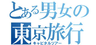 とある男女の東京旅行（キャピタルツアー）