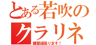 とある若吹のクラリネット奏者（練習頑張ります！）