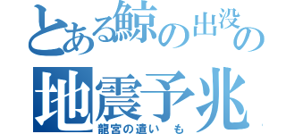 とある鯨の出没の地震予兆（龍宮の遣い　も）