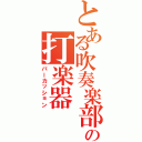 とある吹奏楽部の打楽器（パーカッション）