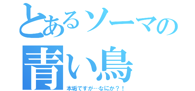 とあるソーマの青い鳥（本垢ですが…なにか？！）