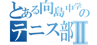 とある向島中学校のテニス部Ⅱ（）