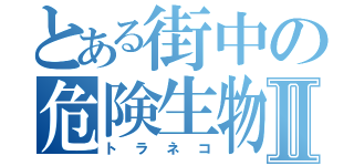 とある街中の危険生物Ⅱ（トラネコ）